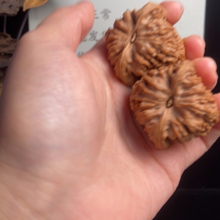 金***1大叶紫檀（黑酸枝木类）