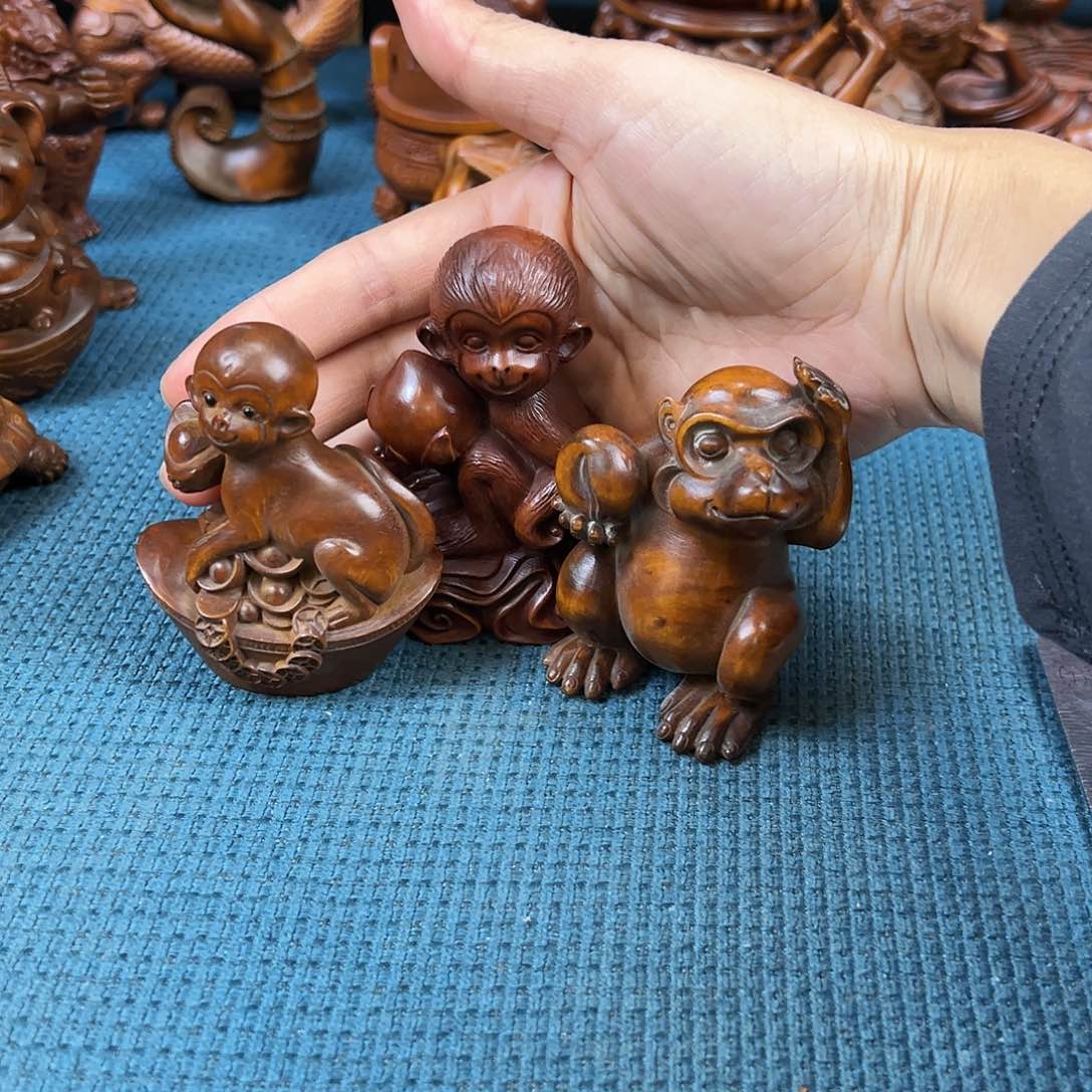 黄杨木独***蝎小叶黄杨木