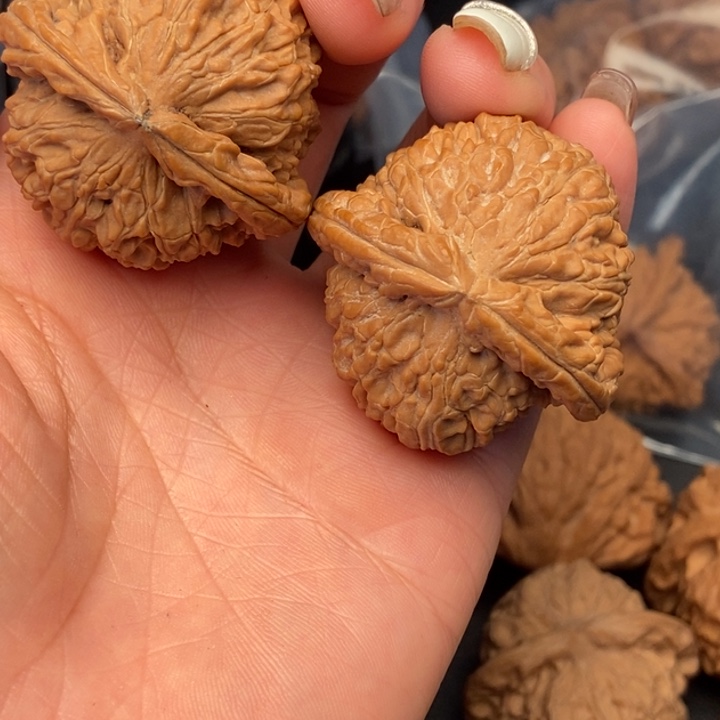 致***远文玩核桃把件白狮子