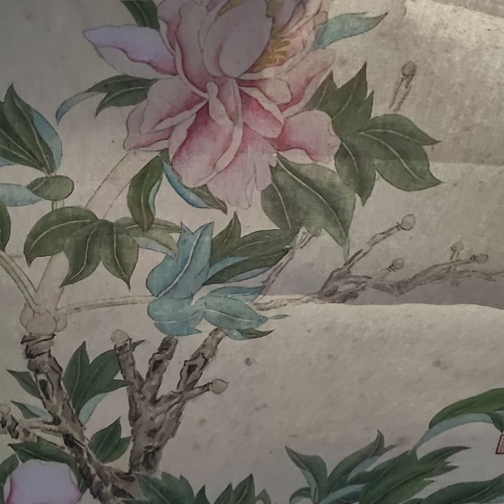 不***卡杂色豆（科檀/科特迪瓦檀木）