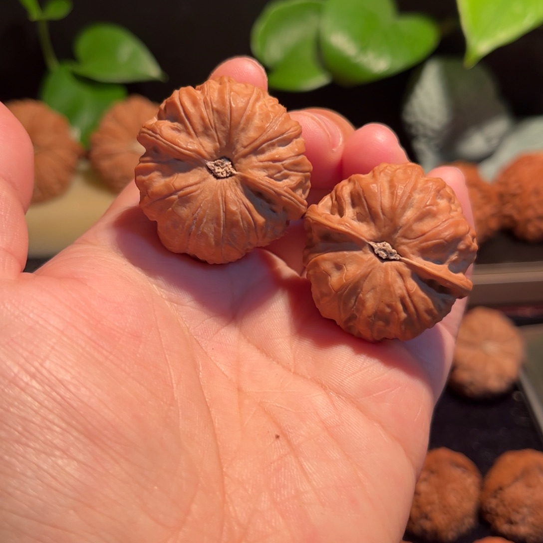 【闪购商品】文玩核桃把件门头沟元宝