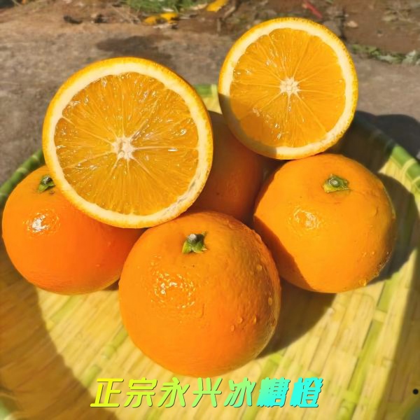 【京东礼盒装】正宗永兴冰糖橙现摘现发精品果新鲜橙子净果9斤