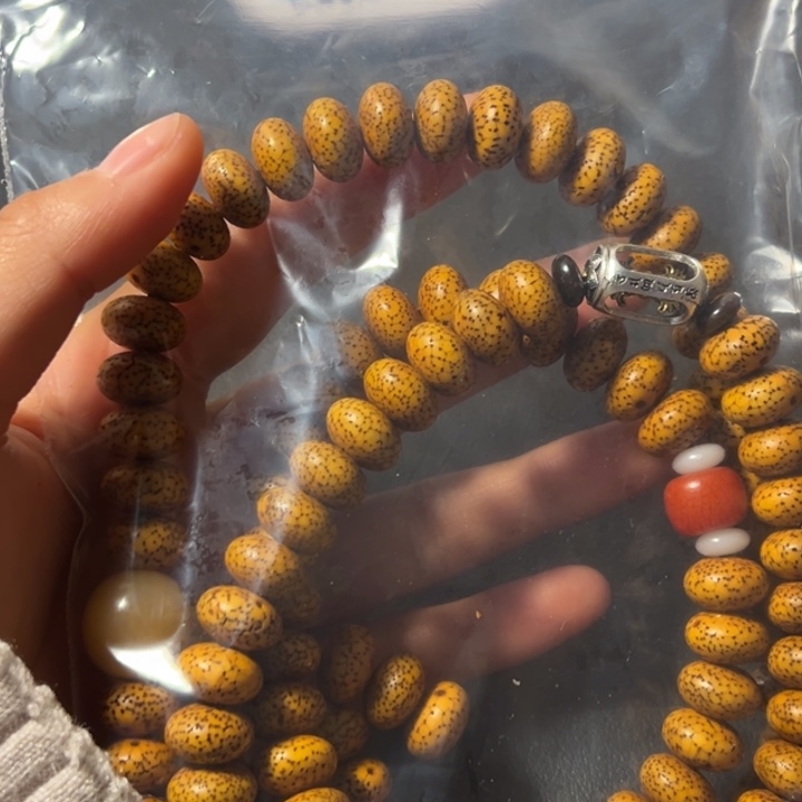 咿***呦啦咯啦咯啦咯啦咯啦