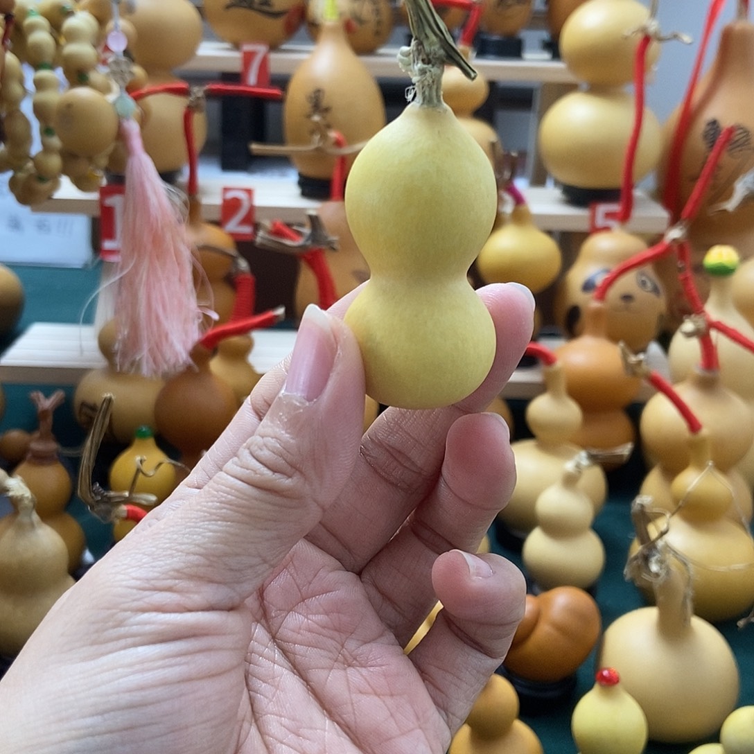 导***导葫芦葫芦葫芦葫芦