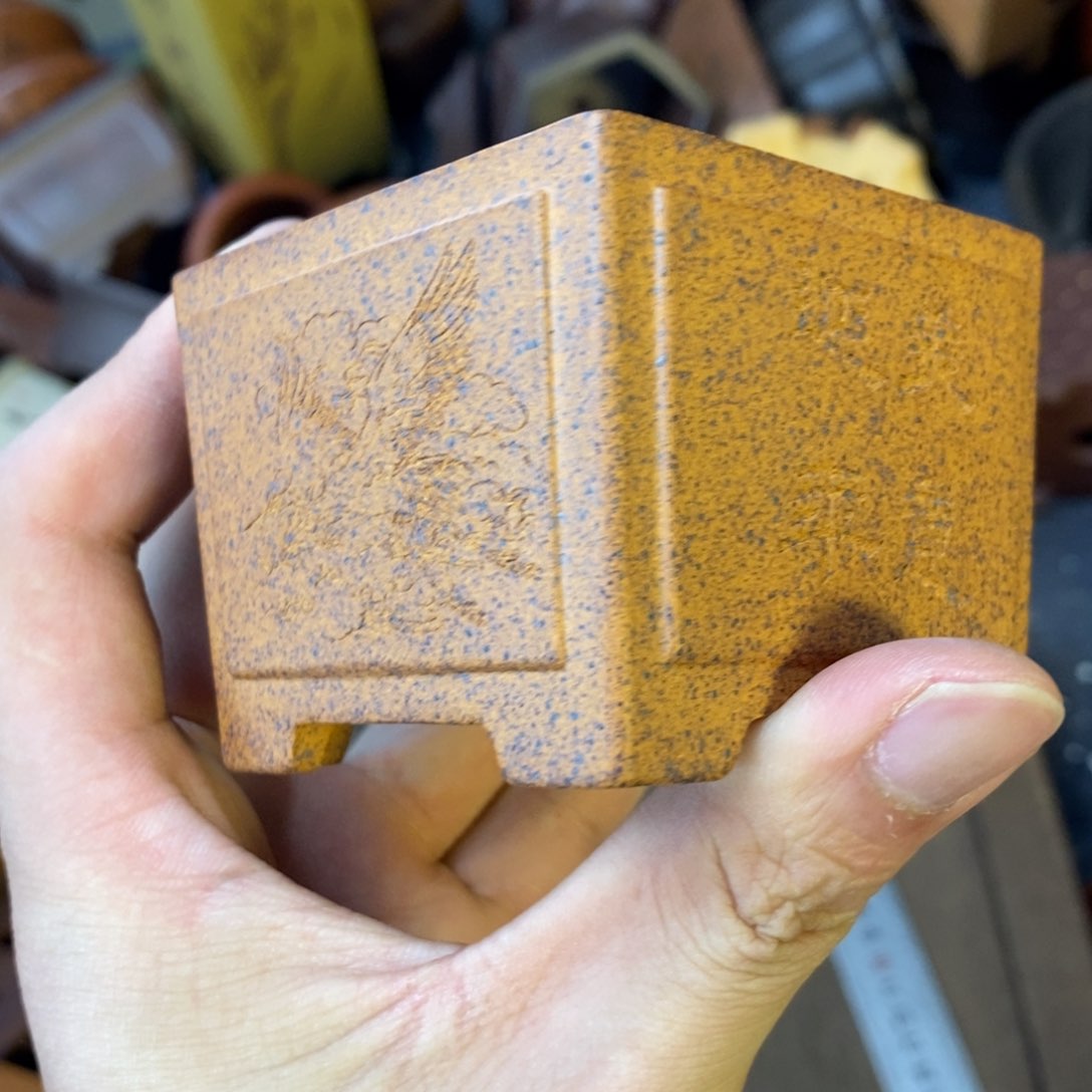 vvvVVCvvvvvvvvvvvvvvvv