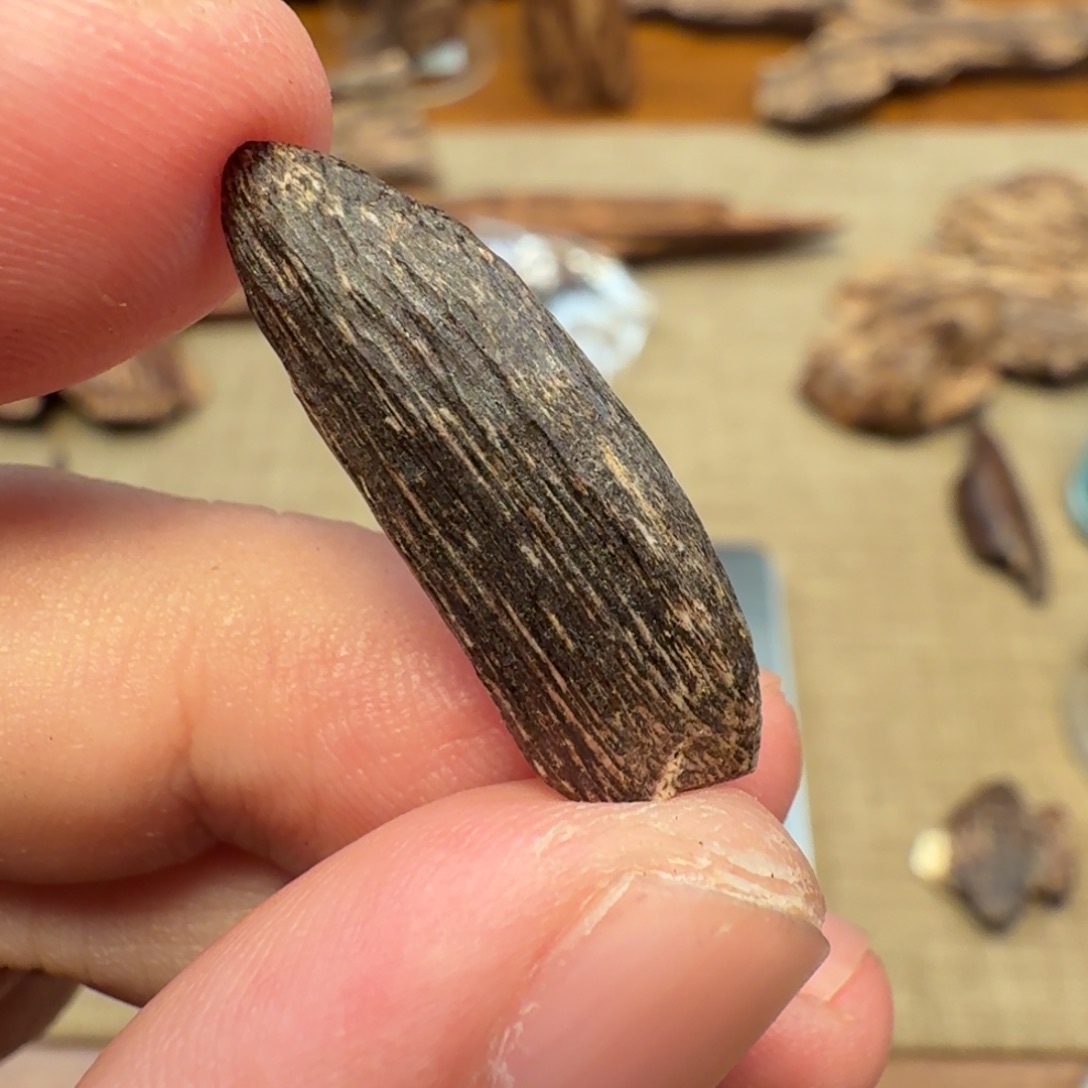 沉香香港西贡棋韵瓜子