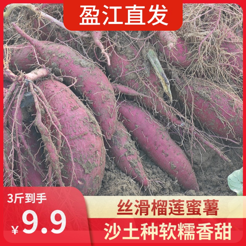 云南盈江当季沙地榴莲蜜薯丝滑软糯甜3斤5斤9斤包邮