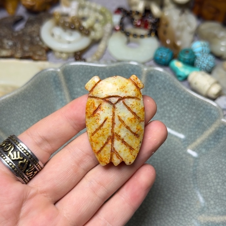 直播放漏专属链接64