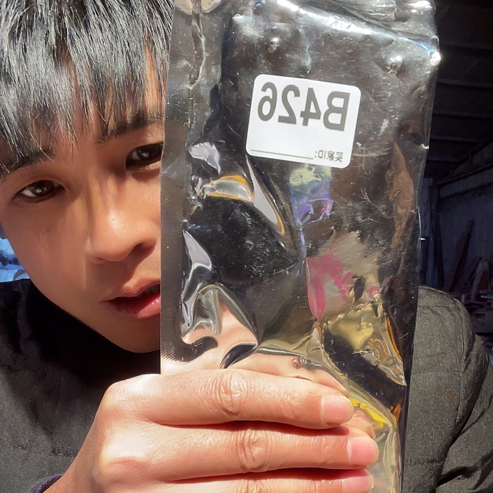 大果紫檀（缅甸花梨）426