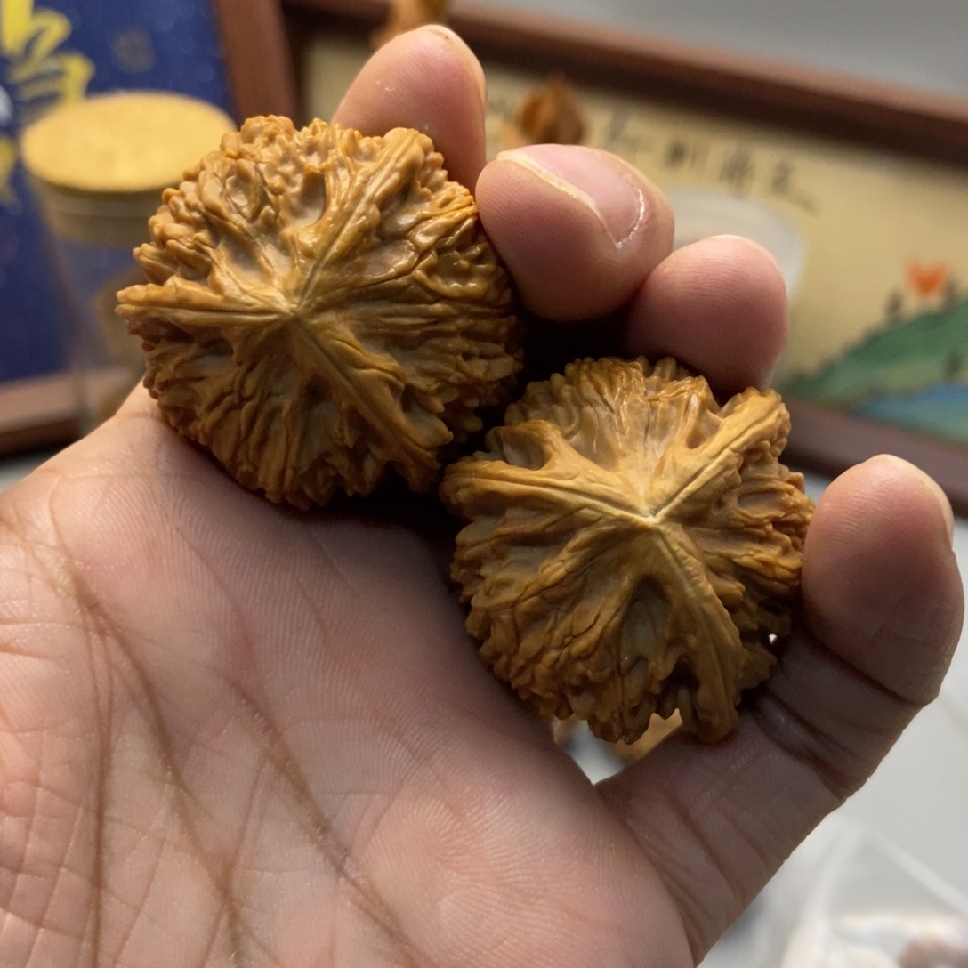 38尺寸文山三棱核桃