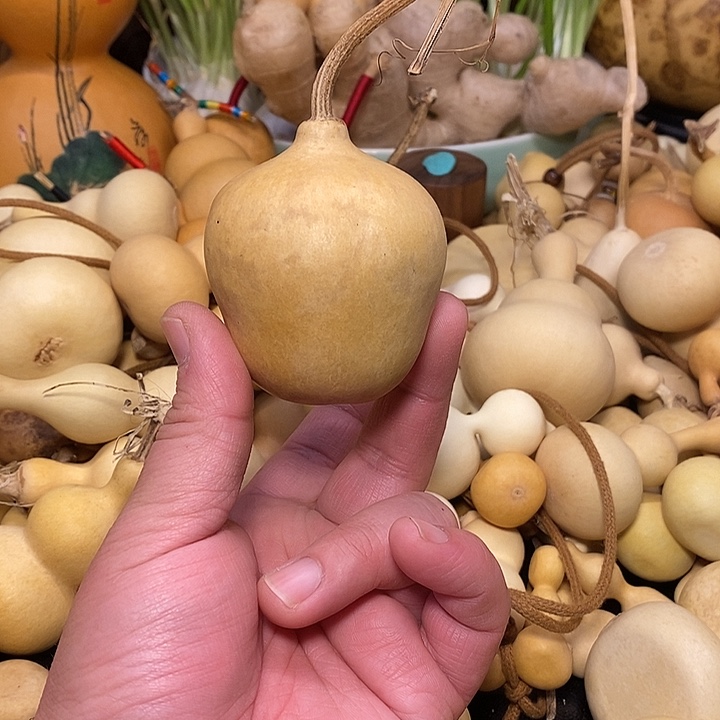 我***呀精品葫芦手把葫芦51