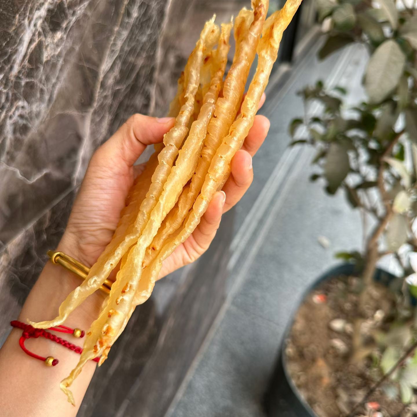 本港赤嘴母15头规格深海高品质花胶