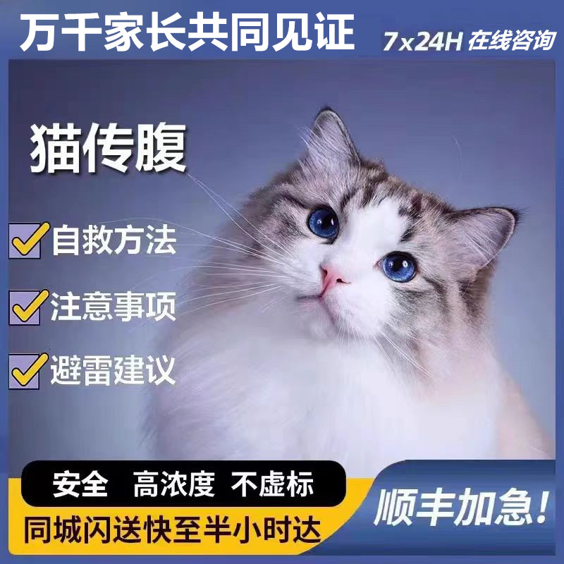 441油剂针剂片剂