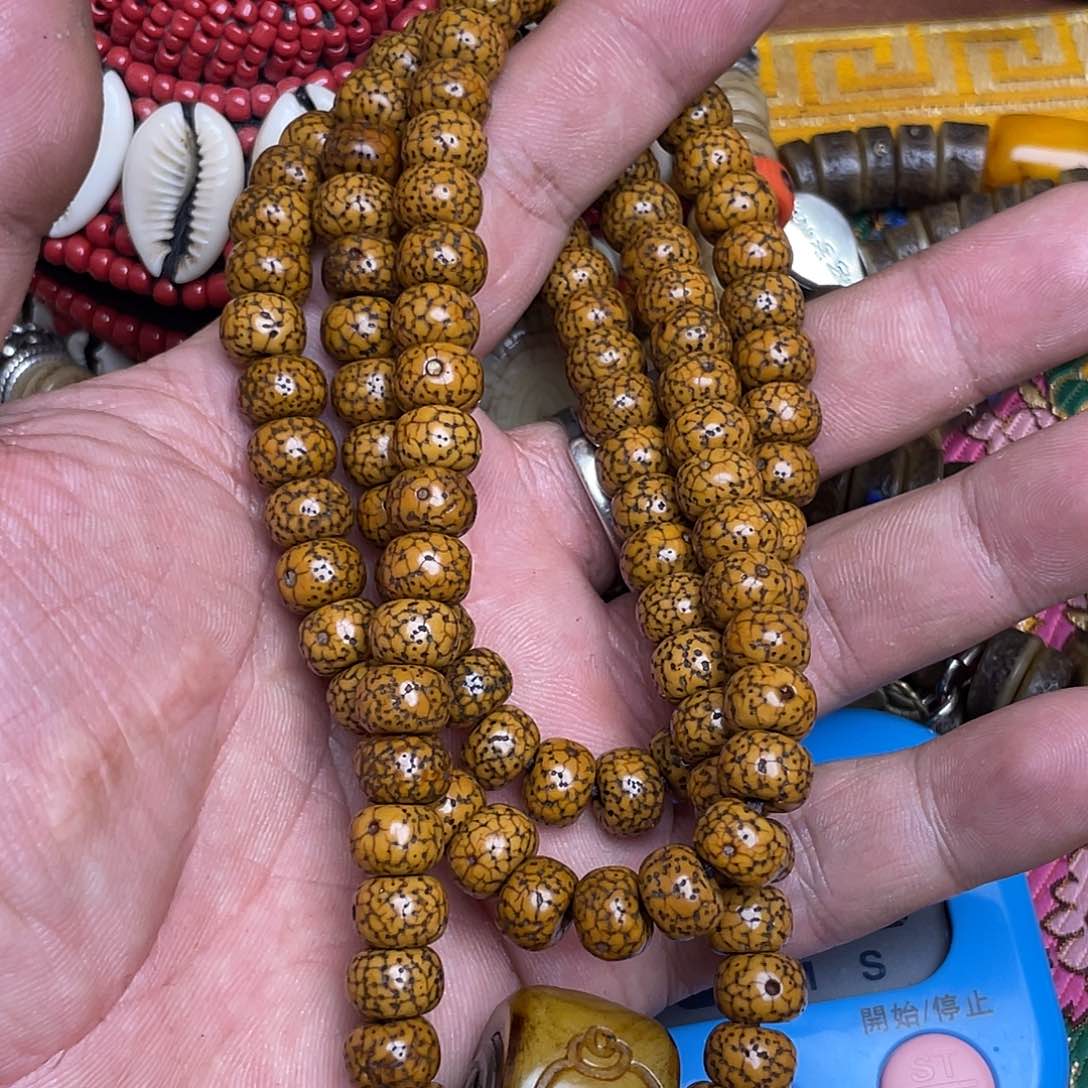 家***贝星月菩提扎西德勒