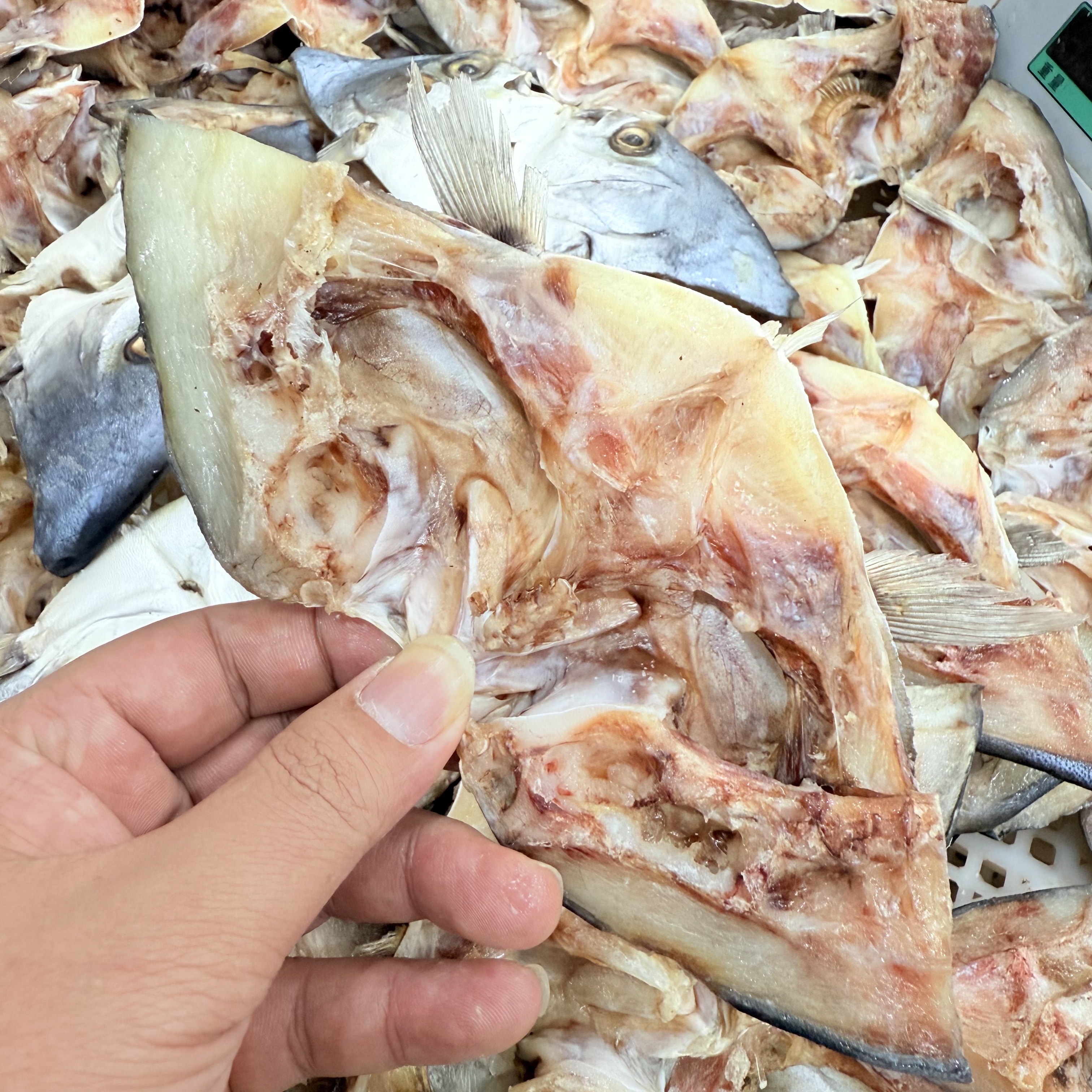 【马鲛仔海产】淡晒（金鲳鱼）净鱼头  1斤装 顺丰包邮 博贺港海产