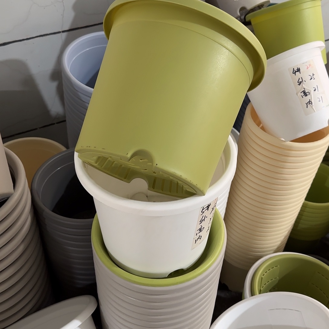 微瑕5号6个无托，果绿