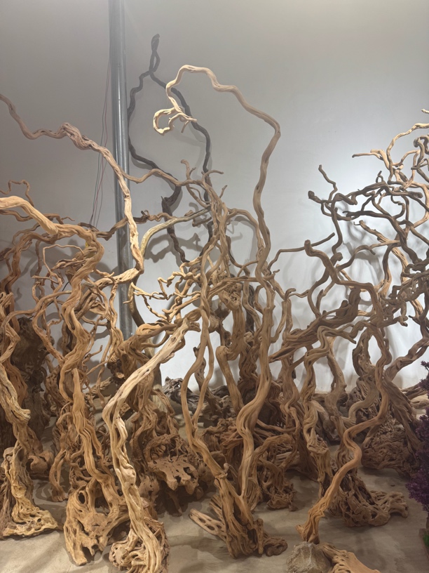 【198-598价位】杜鹃根实木根艺