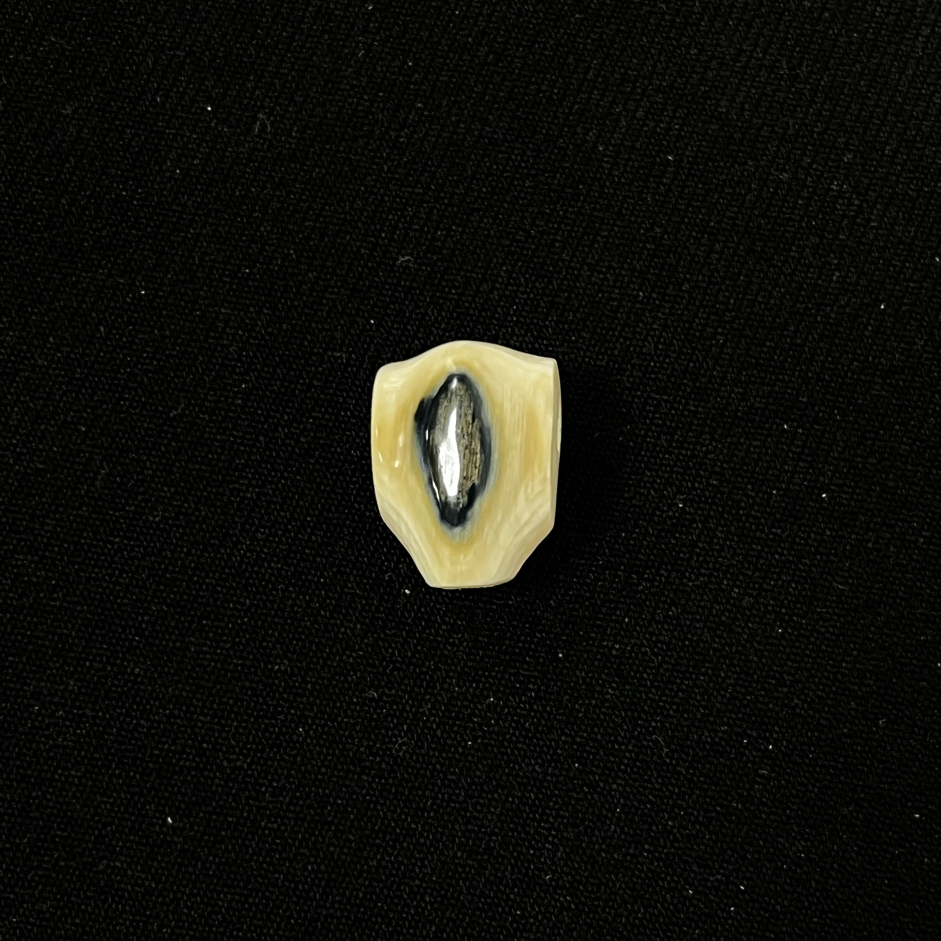 PT414 蓝眼三通 只做天然猛犸牙