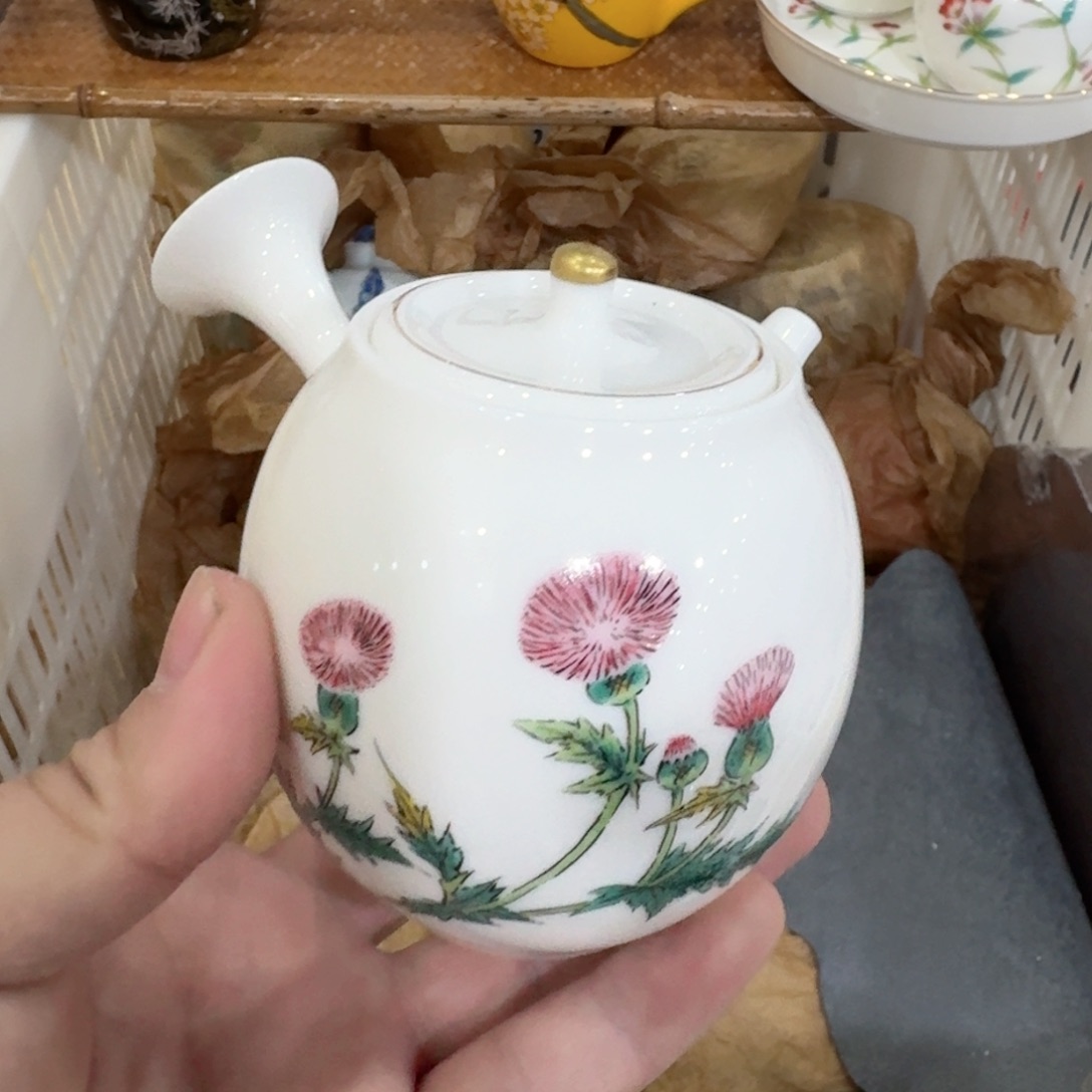 杯你好漂亮5376355896545