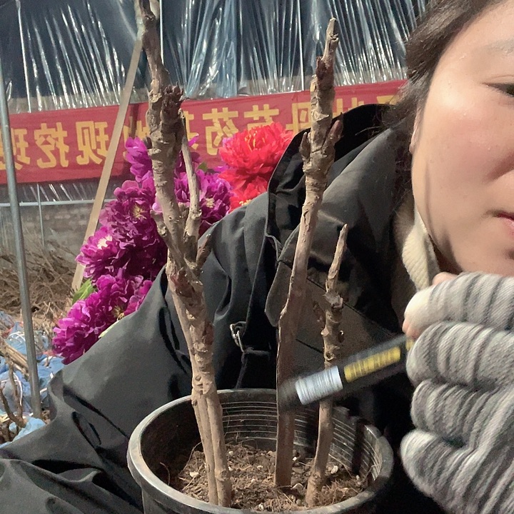 完全开放补差价26.8➕3带盆