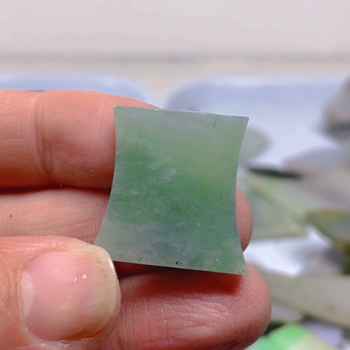 【闪购商品】翡翠颈饰未镶嵌A货