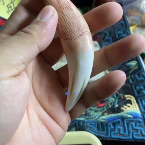 陶官方链接放心拍