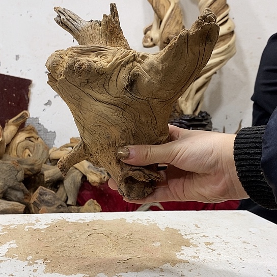 小***倩柏木我们都是好孩子