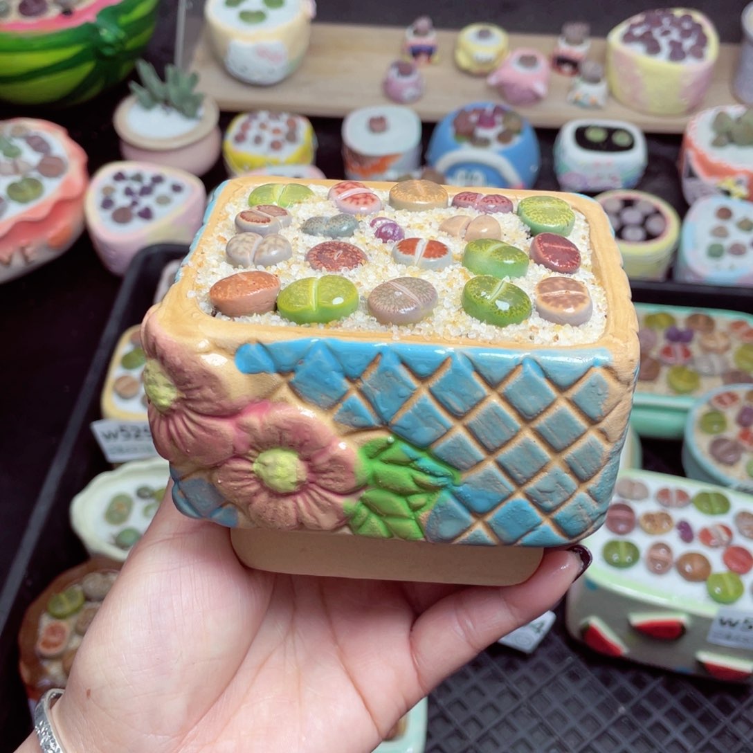 w5308 -零下地区拍保温箱-15支持寄养