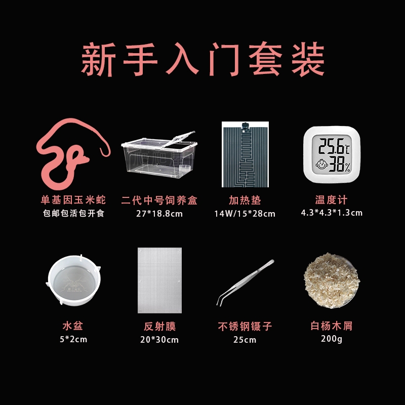 爬宠饲养新手入门套装饲养宠物蛇玉米蛇