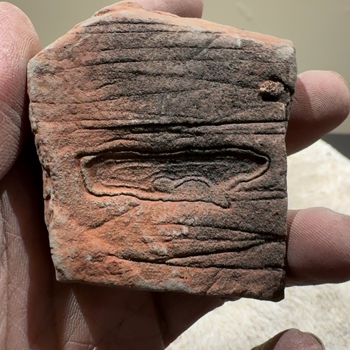 不***如香榧木石头啊啊啊啊