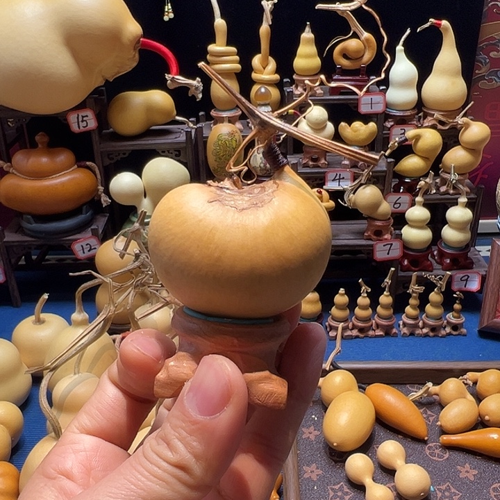 &***e葫芦精品腰子123456