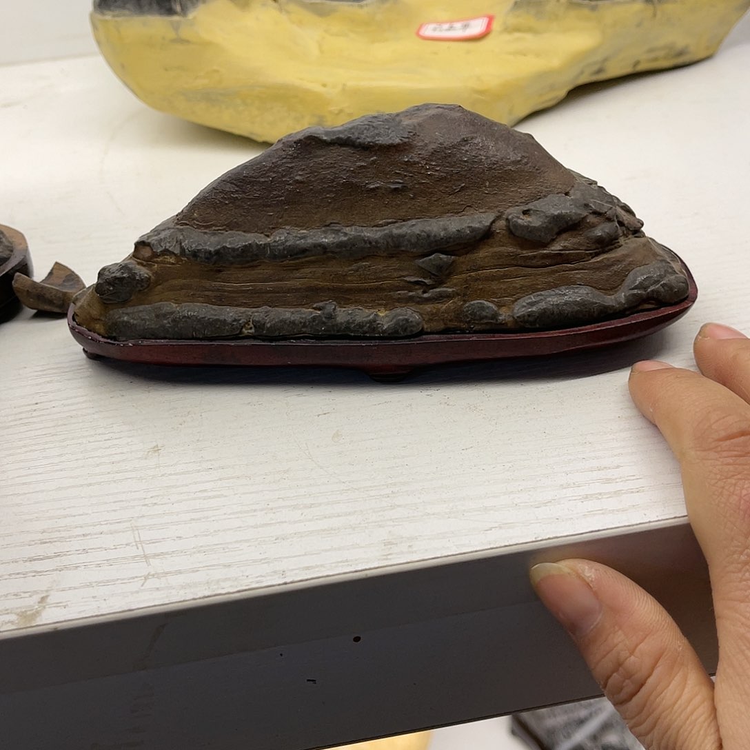 紫砂今天的心情有点不好用l*x