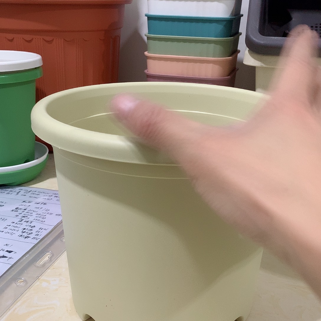 树脂四季口21米黄3个无托