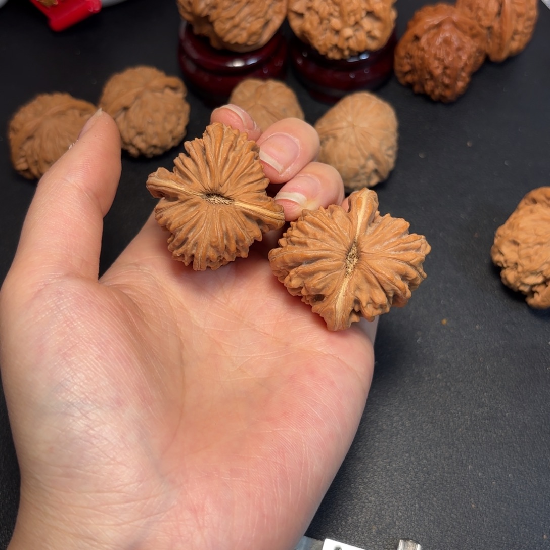 @***伟大叶紫檀（黑酸枝木类）