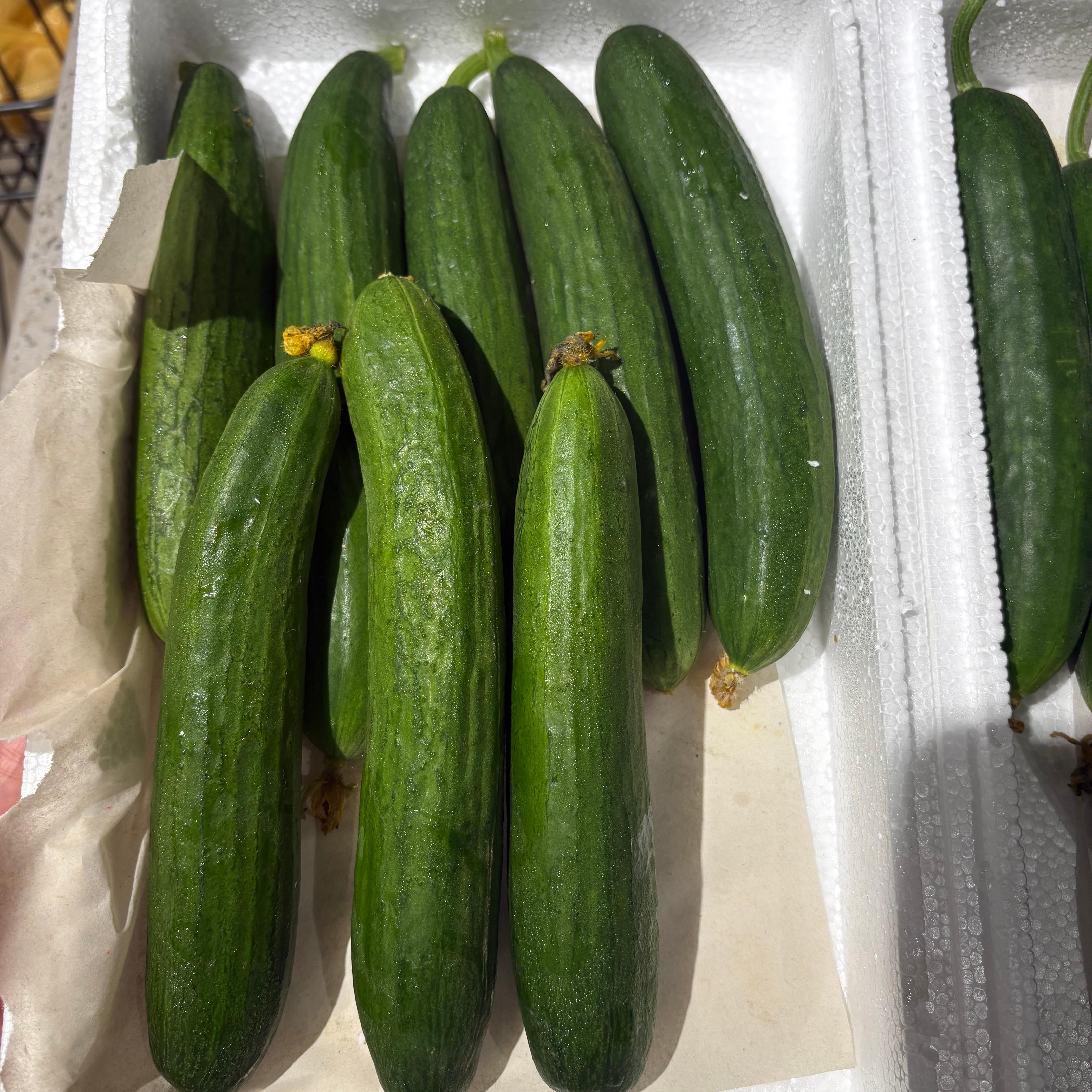 【小时达】特级水果黄瓜约1.1斤