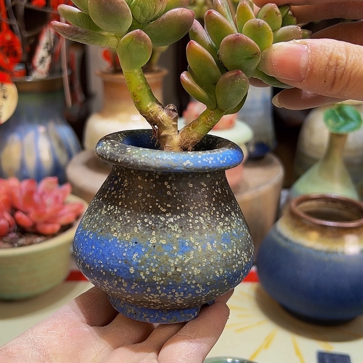 景德镇陶瓷2单包邮