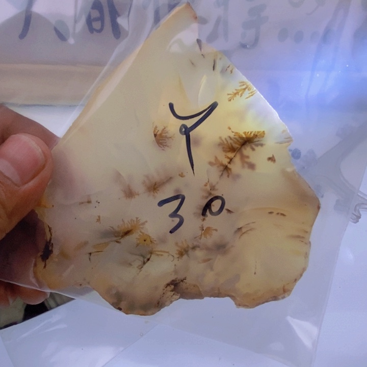 玛瑙/玉髓颈饰未镶嵌丫**?