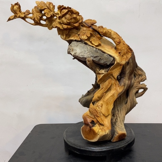 柏木（崖柏）太行崖柏