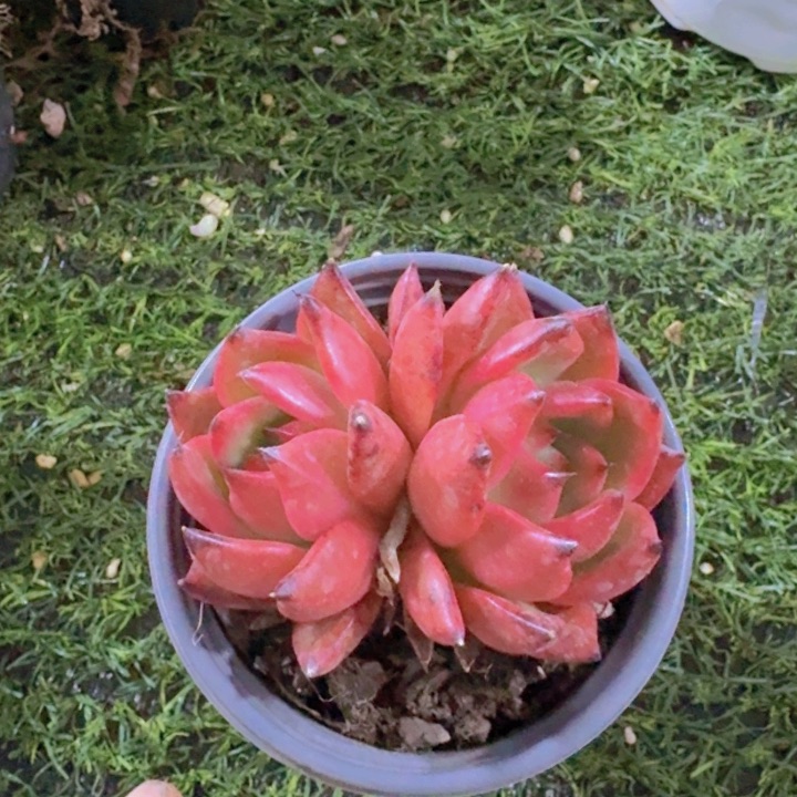 健健康康平平安安