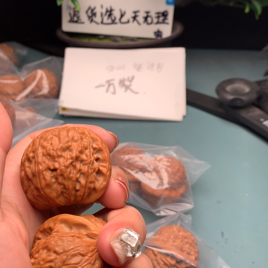 文玩核桃把件金麒麟4647
