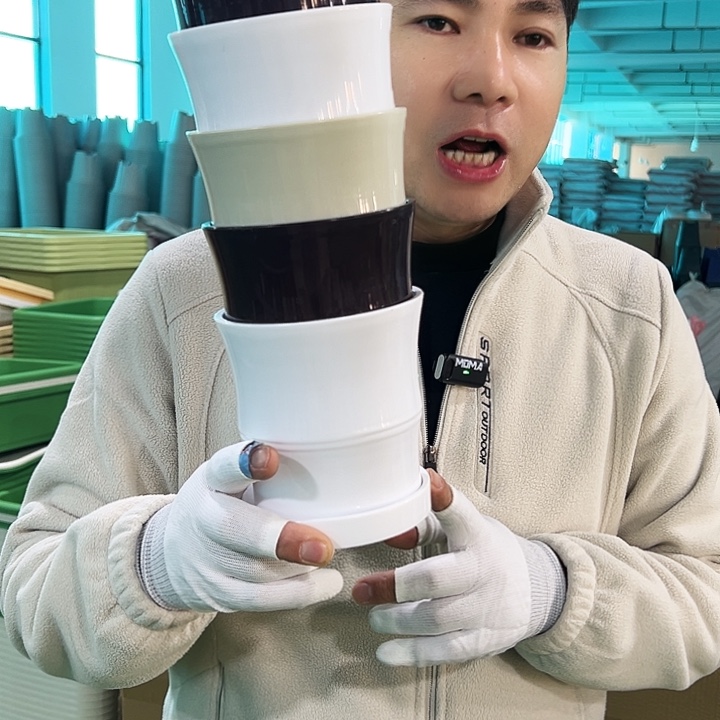 特价竹节口12高12白色6个带托