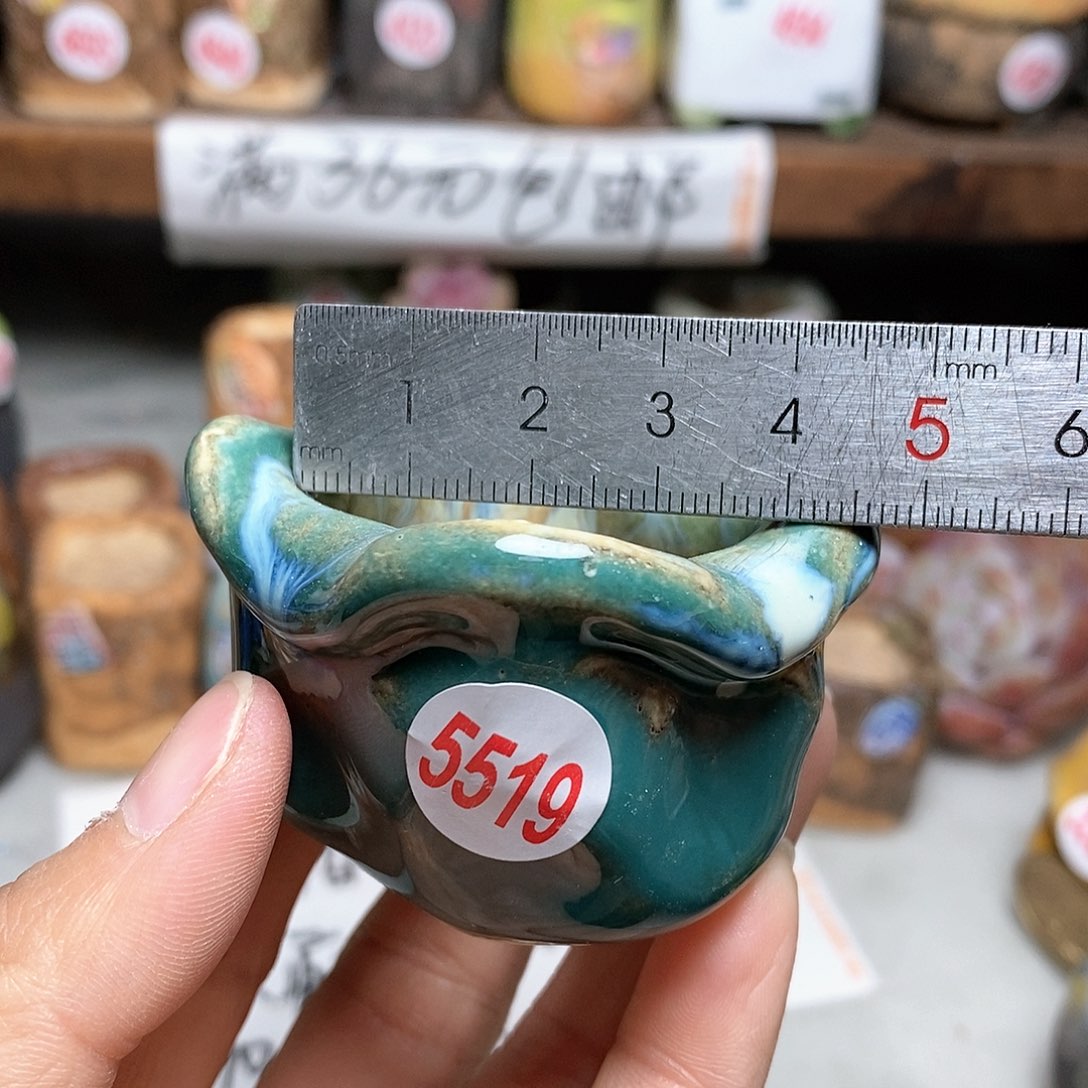 红陶拍5送一个小