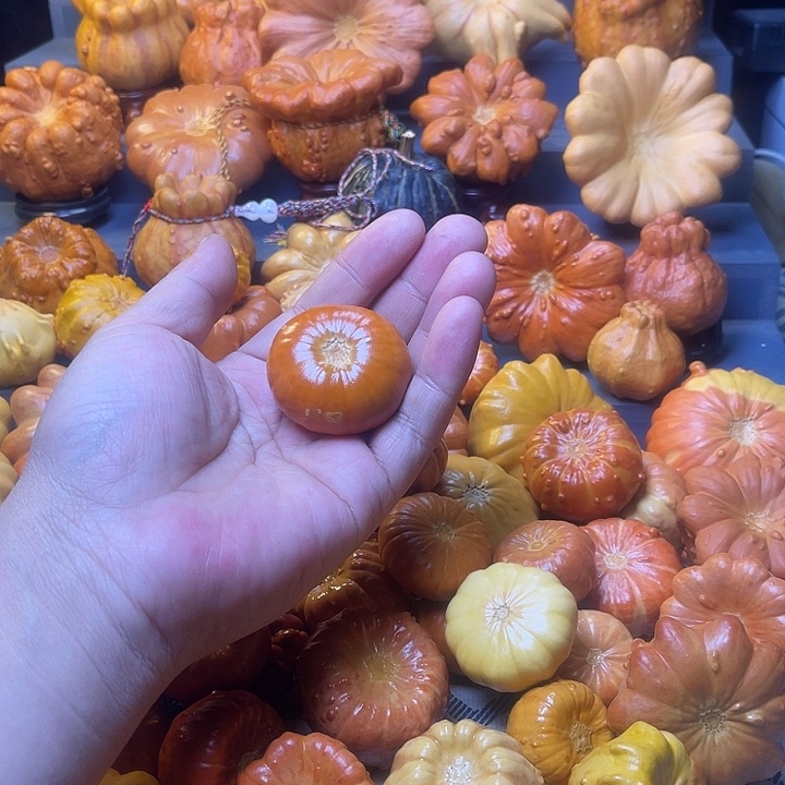 摩***菲大叶紫檀（黑酸枝木类）