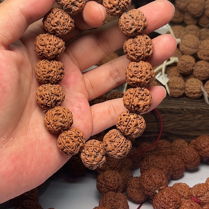 手串金刚菩提老树18