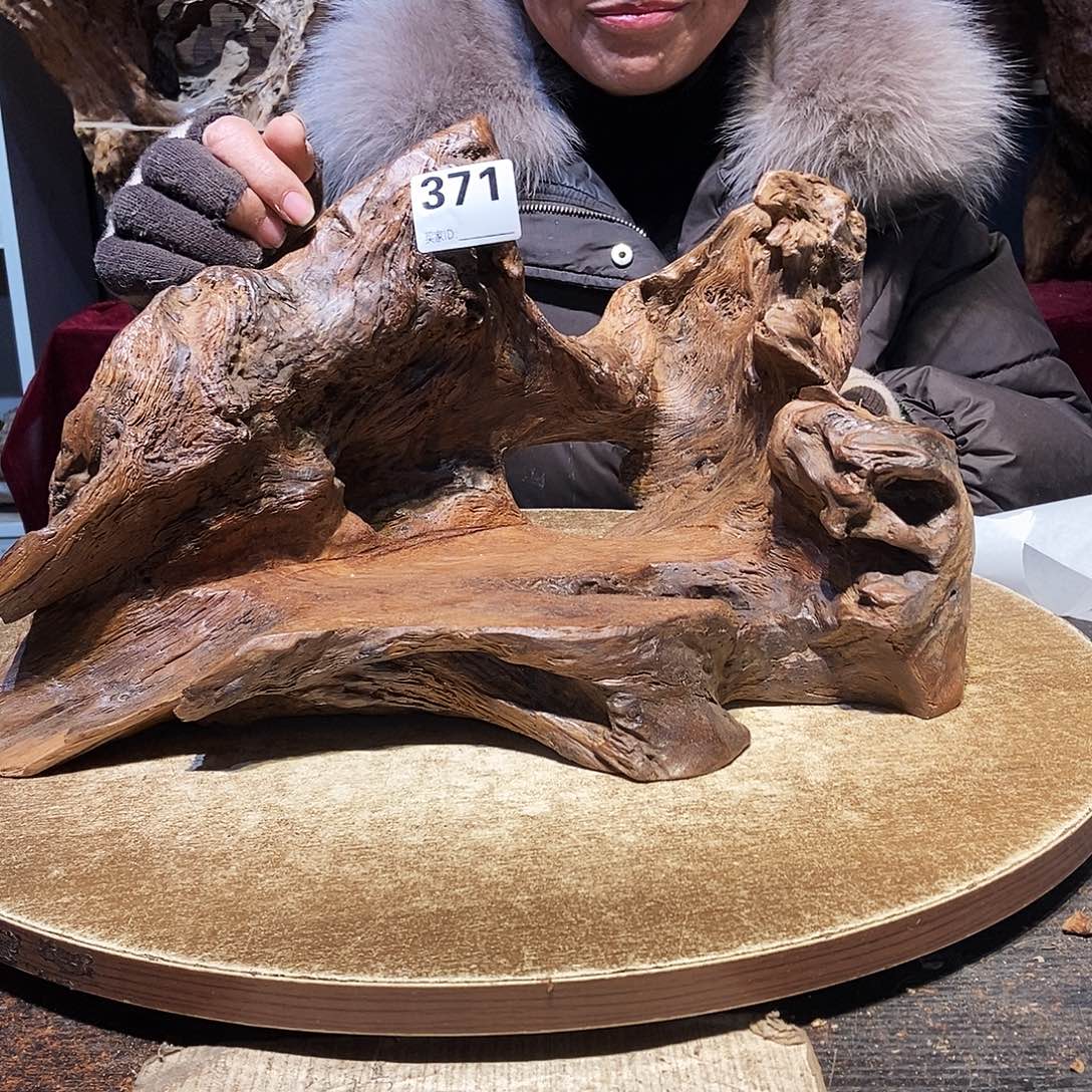 俊***叔371。株木随行根艺