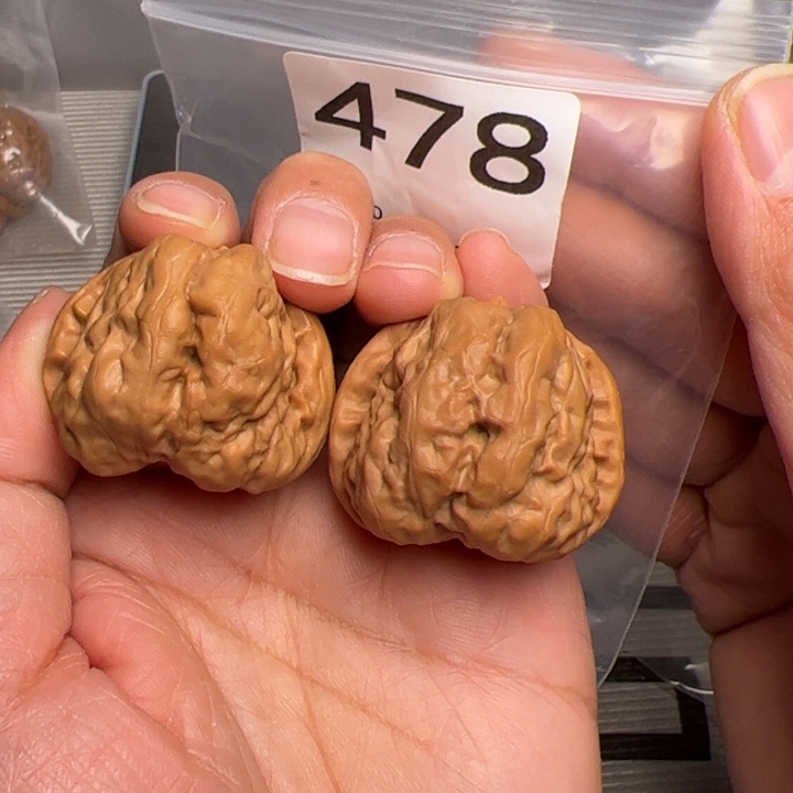 核桃四开背36边38肚478