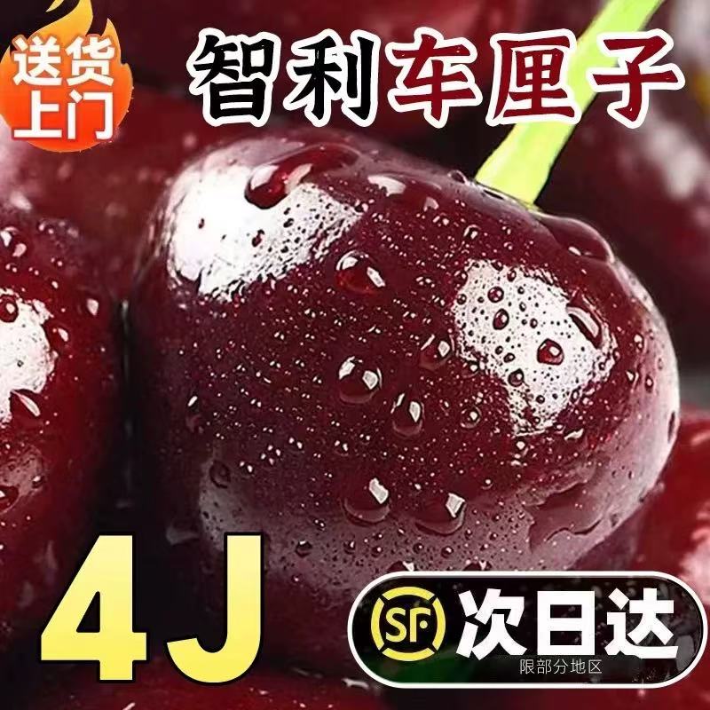【tn福利】智利空运桑提娜SANTINA车厘子2JD/4JD【次日达】内附果径卡800g新鲜硬脆甜tn3桑提娜樱桃智利共和国