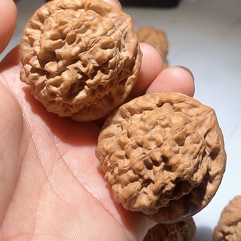 吊坠文玩核桃龙鼎