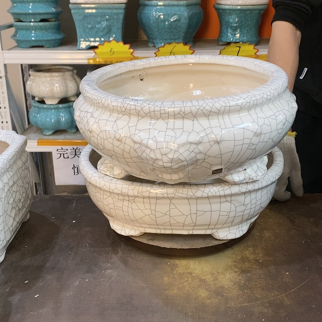 谢*花盆花盆里的花都开