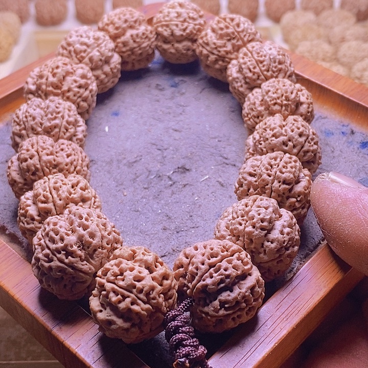 手串金刚菩提日**金古龙老树王